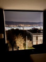IMG_6208.jpeg