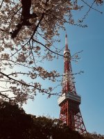 IMG_3332.jpeg IMG_3332.jpeg