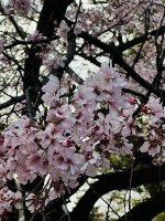 IMG_3224.jpeg IMG_3224.jpeg