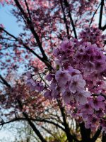 IMG_3201.jpeg IMG_3201.jpeg