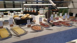 20260330_074054_resized.jpeg 20260330_074054_resized.jpeg