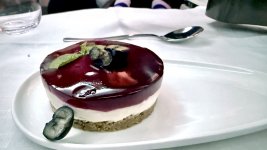 IMG_8555.jpeg