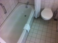 IMG_2065.jpg