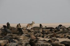 IMG_4112.jpg