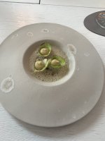 IMG_0470.jpeg