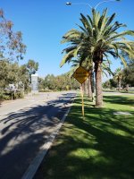 IMG_20260430_100255721.jpg
