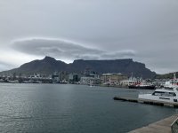IMG_7541.jpeg