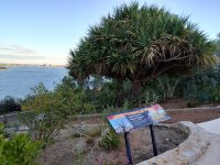 IMG_20260501_171117504_HDR.jpg