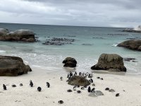 IMG_7567.jpeg