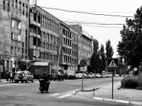 IMG_9870.jpeg