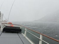 IMG_9360.jpeg IMG_9360.jpeg