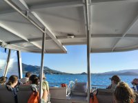 IMG_20260508_163511924_HDR.jpg