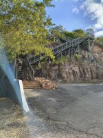 IMG_20260509_153131377_HDR.jpg