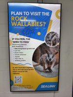 IMG_20260510_070933990.jpg