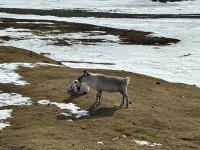IMG_9442.jpeg IMG_9442.jpeg