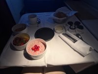 IMG_0113.jpeg