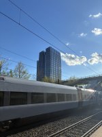 IMG_9464.jpeg