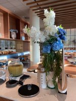 IMG_8409 (1).jpeg