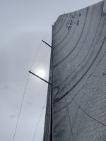 IMG_9500.jpeg