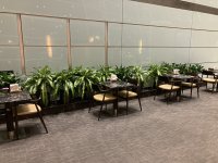 IMG_i19320.jpg