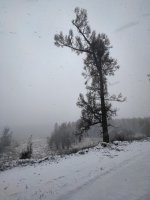 IMG_20260519_103423.jpg