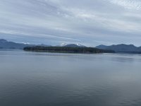 IMG_8641.jpeg IMG_8641.jpeg