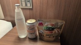ibistokyo3.jpg