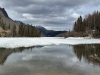 IMG_8930.jpeg