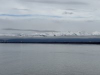 IMG_8973.jpeg