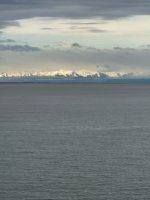 IMG_8982.jpeg