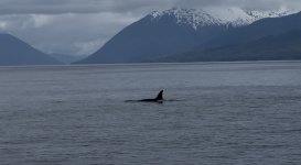 IMG_9747.jpeg