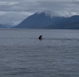 IMG_9749.jpeg