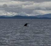 IMG_9753.jpeg