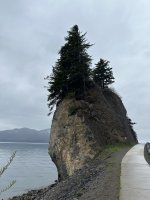 IMG_9091.jpeg