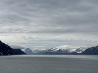 IMG_9132.jpeg