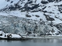 IMG_9166.jpeg
