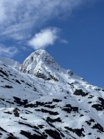 IMG_9184.jpeg