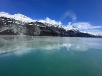IMG_9266.jpeg