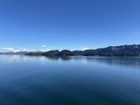 IMG_9291.jpeg