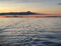 IMG_9305.jpeg
