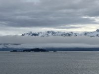 IMG_9119.jpeg