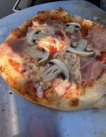 IMG_3771.jpeg