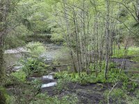 IMG_9426.jpeg
