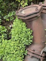 IMG_9457.jpeg