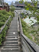 IMG_9462.jpeg