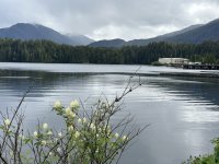 IMG_9546.jpeg