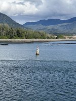 IMG_9586.jpeg