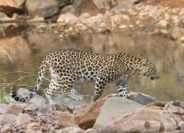 IMG_8969.jpg