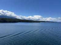 IMG_9611.jpeg