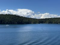 IMG_9617.jpeg